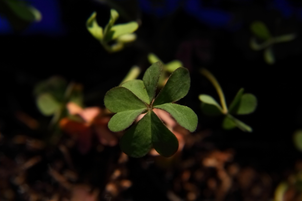 2012 03 17 9999 108